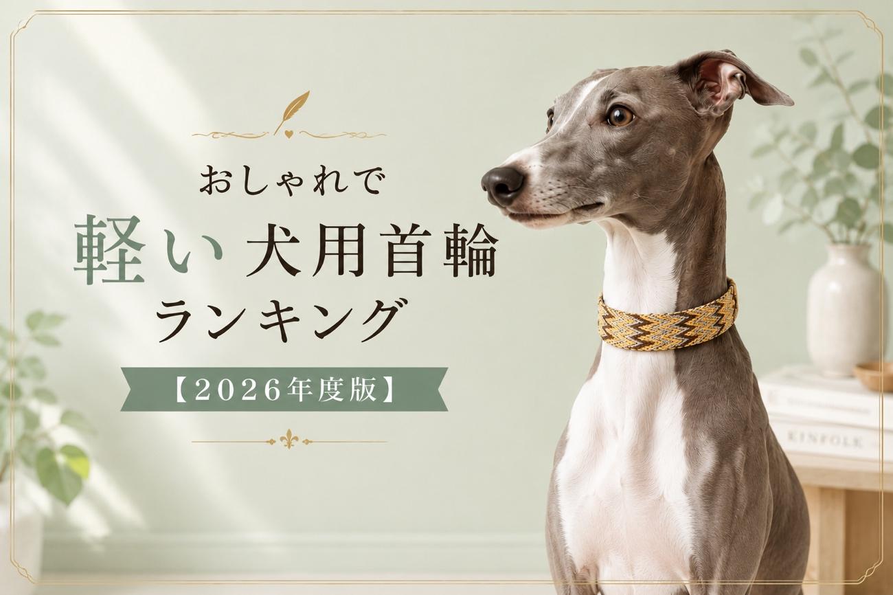おしゃれで軽い犬用首輪ランキング【2026年度版】